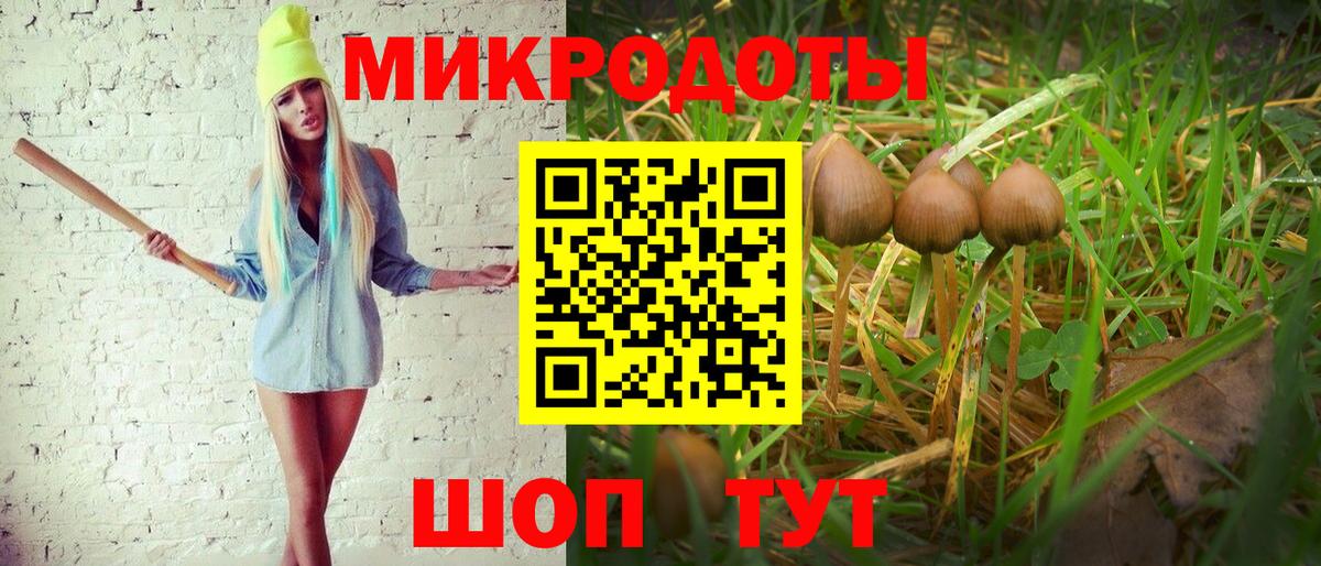Галлюциногенные грибы ЛСД  Вход с VPN  Рубцовск 