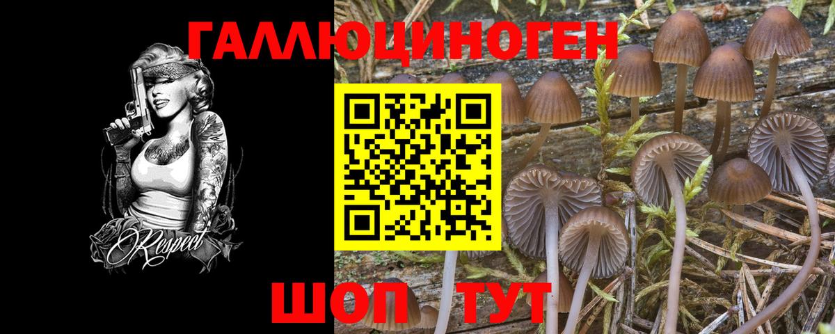 Псилоцибиновые грибы ЛСД Рубцовск